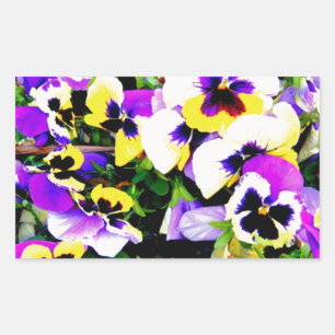pansy flowers rectangular sticker