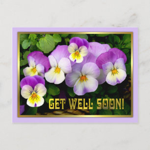 Pansy ~ Get Well Postcard