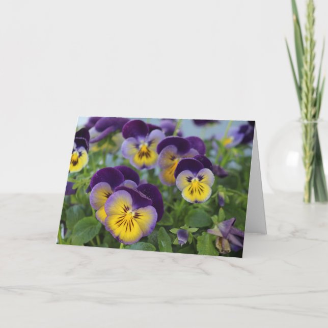 Pansy Greeting Card (Front)