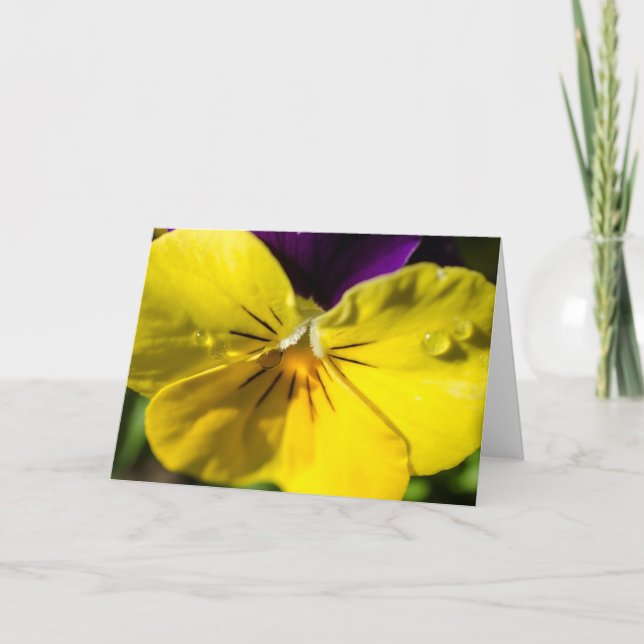 Pansy Greeting Card - Blank (Front)