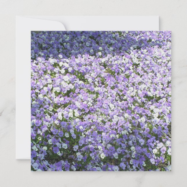 Pansy Invitation (Front)