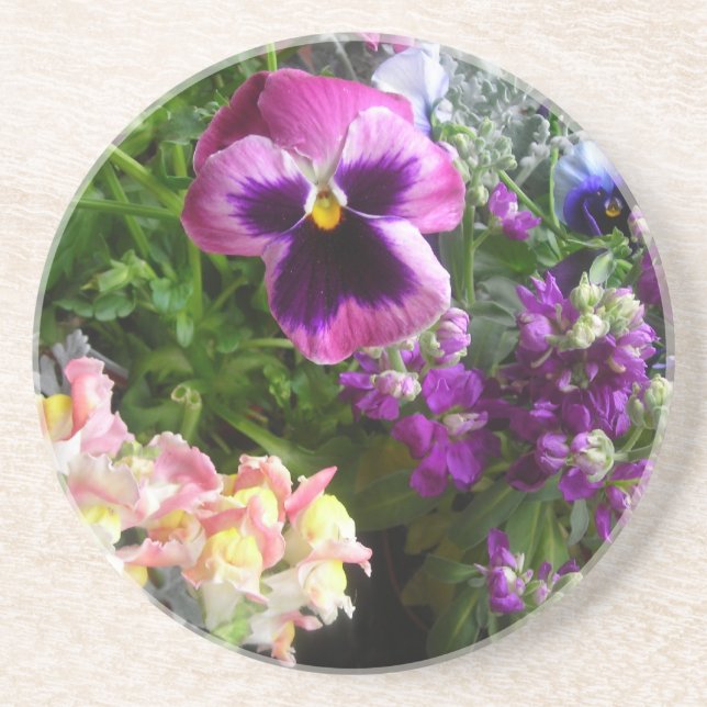 Pansy n' friends coaster (Front)