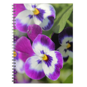 Pansy Notebook