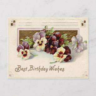 Pansy Pansies Purple White Postcard