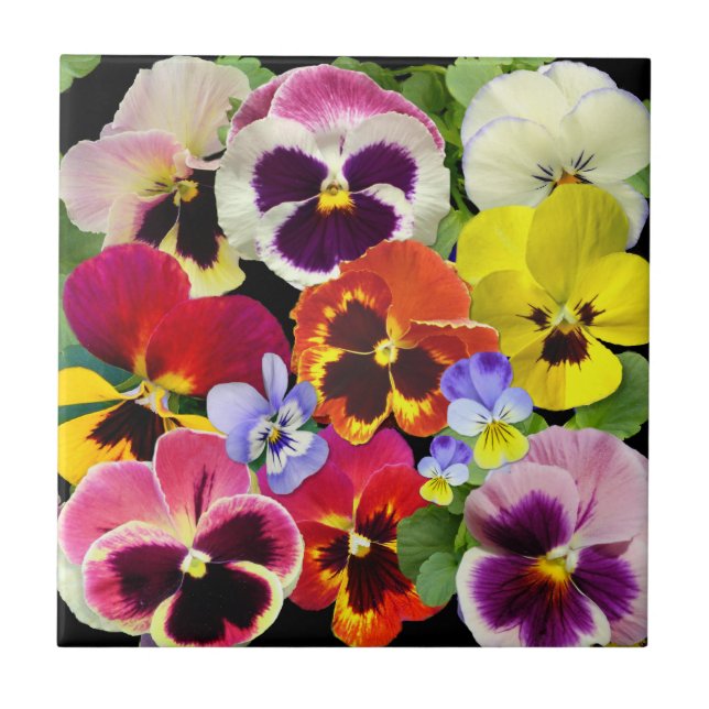 Pansy Patchwork Ceramic Tile (Front)