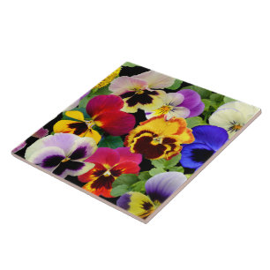 Pansy Patchwork ~ Ceramic Tile