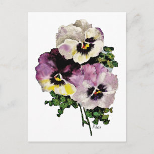 Pansy Postcard