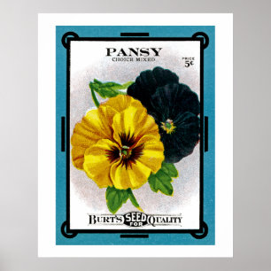 Pansy Poster