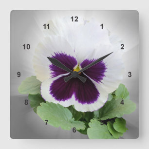 Pansy purple white square wall clock