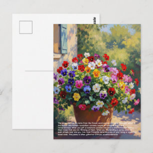 Pansy Symbolism Postcard
