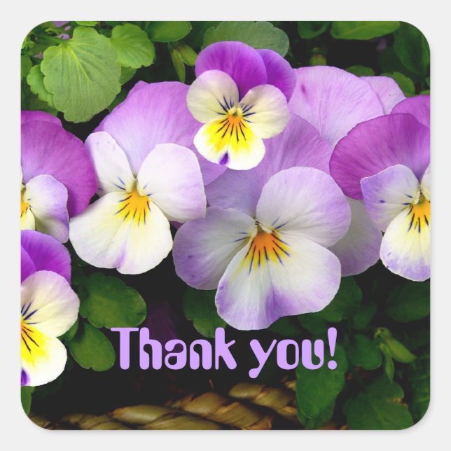 PANSY  "Thank You!"  Square Stickers (Front)