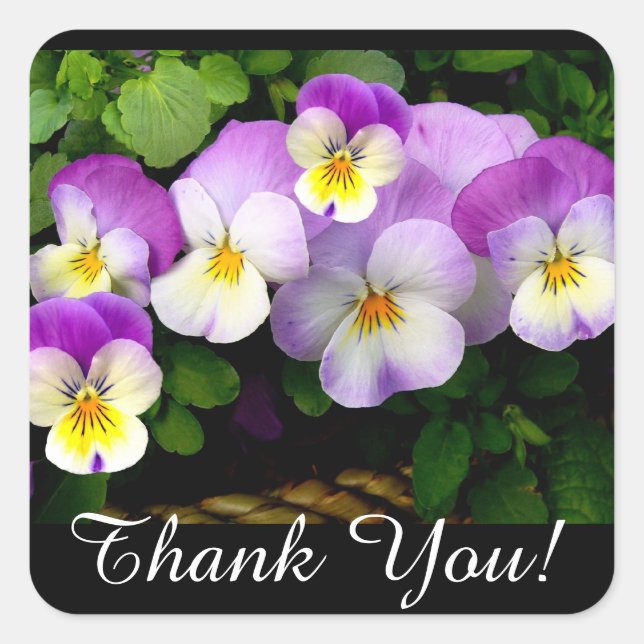 PANSY  "Thank You!" Stickers (Front)
