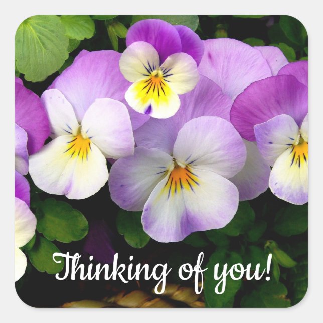 Pansy Thinking of You Square Sticker (Front)