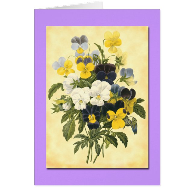 Pansy Violets Blank Botanical Art Cards (Front)