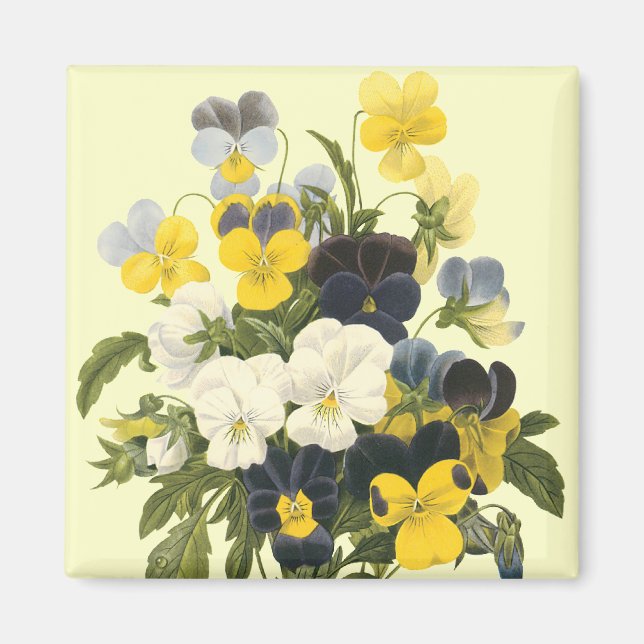 Pansy Violets Botanical Art Magnet (Front)