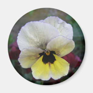 Pansy White and Yellow Magnet