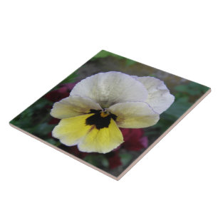Pansy White and Yellow Tile