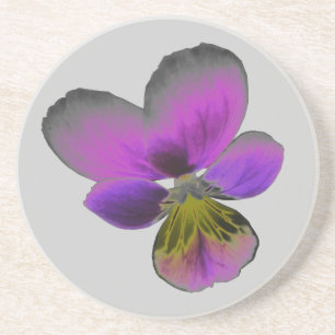 Pansy Wild Dark Purple Coasters