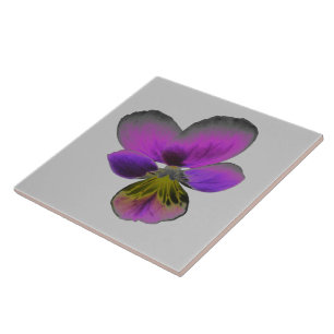 Pansy Wild Dark Purple Tile