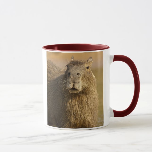 Pantanal, Brazil, Capybara, Hydrochoerus Mug (Right)