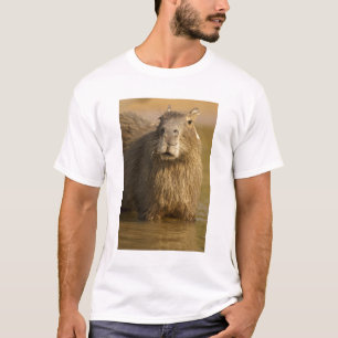 Pantanal, Brazil, Capybara, Hydrochoerus T-Shirt