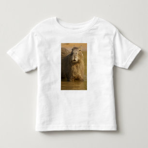 Pantanal, Brazil, Capybara, Hydrochoerus Toddler T-Shirt