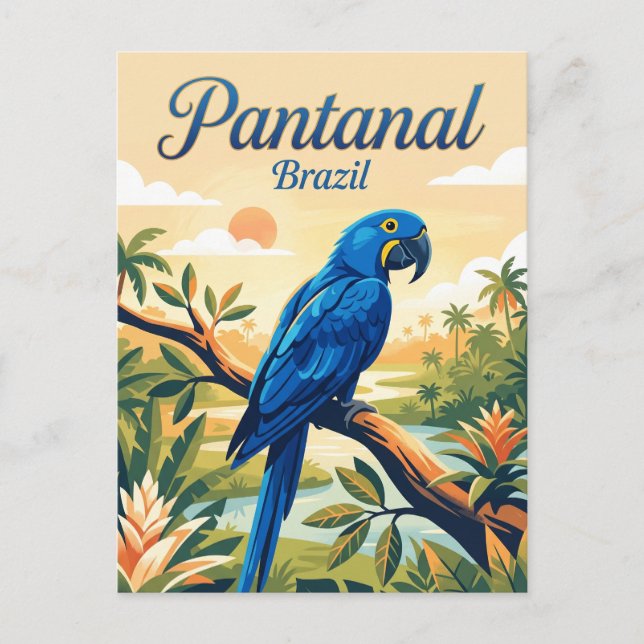 Pantanal Brazil Postcard (Front)