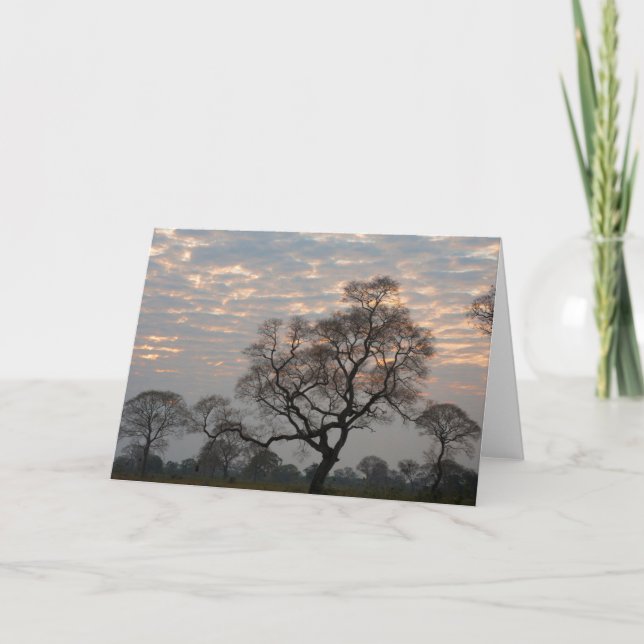 Pantanal Wetlands | South America, Brazil Card (Front)