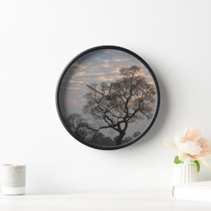 Pantanal Wetlands   South America, Brazil Clock