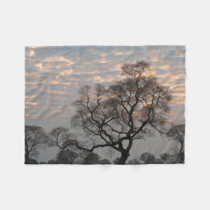 Pantanal Wetlands   South America, Brazil Fleece Blanket