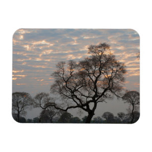 Pantanal Wetlands South America, Brazil Magnet