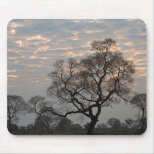 Pantanal Wetlands South America, Brazil Mouse Pad
