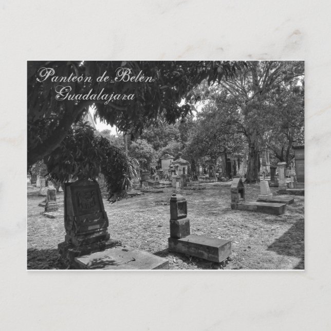 Panteón de Belén Blanco y Negro Postcard (Front)