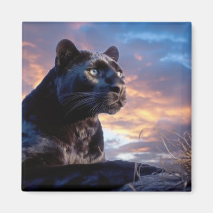 Panther Animal Nature Majestic Wild Magnet