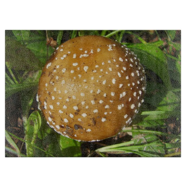 Panther Cap Mushroom Glass Chopping Board (Front)