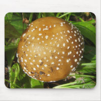 Panther Cap Mushroom Mouse Mat