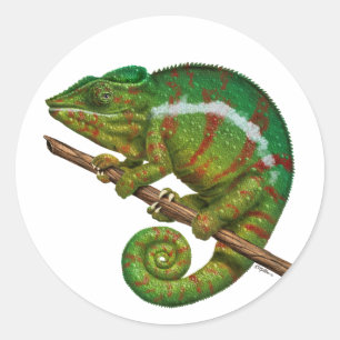 Panther Chameleon Digital Painting Classic Round Sticker
