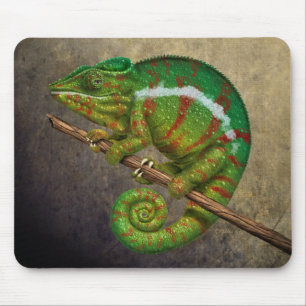 Panther Chameleon Digital Painting Mouse Pad