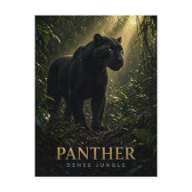 Panther Dense Jungle Wildlife ANIMAL