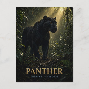 Panther Dense Jungle Wildlife ANIMAL Postcard