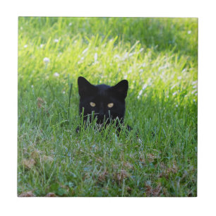 Panther in the Grass Ceramic Tile