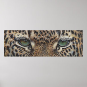 panther leopard eyes poster