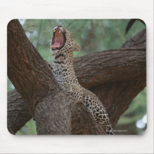 Panther Mouse Pad