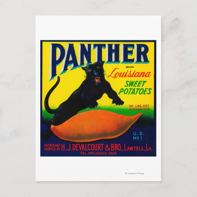 Panther Yam LabelLawtell, LA Postcard (Front)