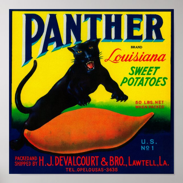 Panther Yam LabelLawtell, LA Poster (Front)