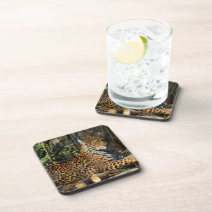 Panthera Jaguar Cork Coasters