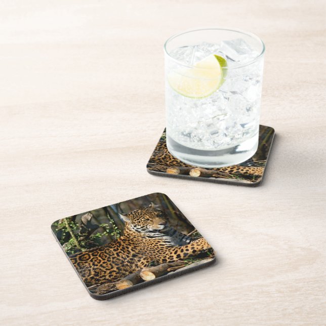 Panthera Jaguar  Cork Coasters (Right Side)