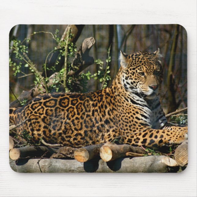 Panthera Jaguar Mouse Pad (Front)