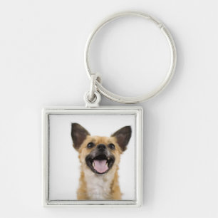 Panting dog key ring