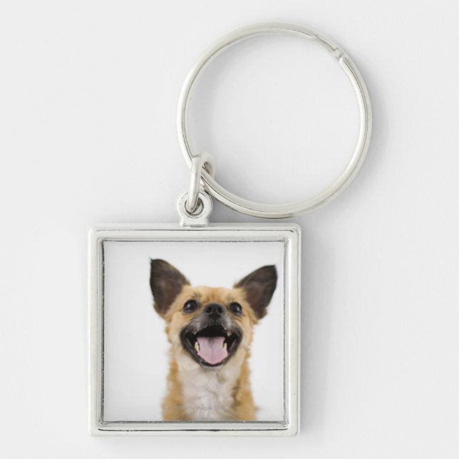Panting dog key ring (Front)
